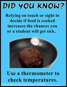 Thermometer use poster thumbnail
